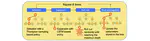 Automatic Feature Engineering Through Monte Carlo Tree Search