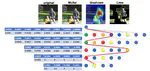 McXai: Local Model-Agnostic Explanation As Two Games