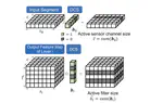 Enhancing Efficiency in HAR Models: NAS Meets Pruning