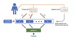 randomHAR: Improving Ensemble Deep Learners for Human Activity Recognition with Sensor Selection and Reinforcement Learning